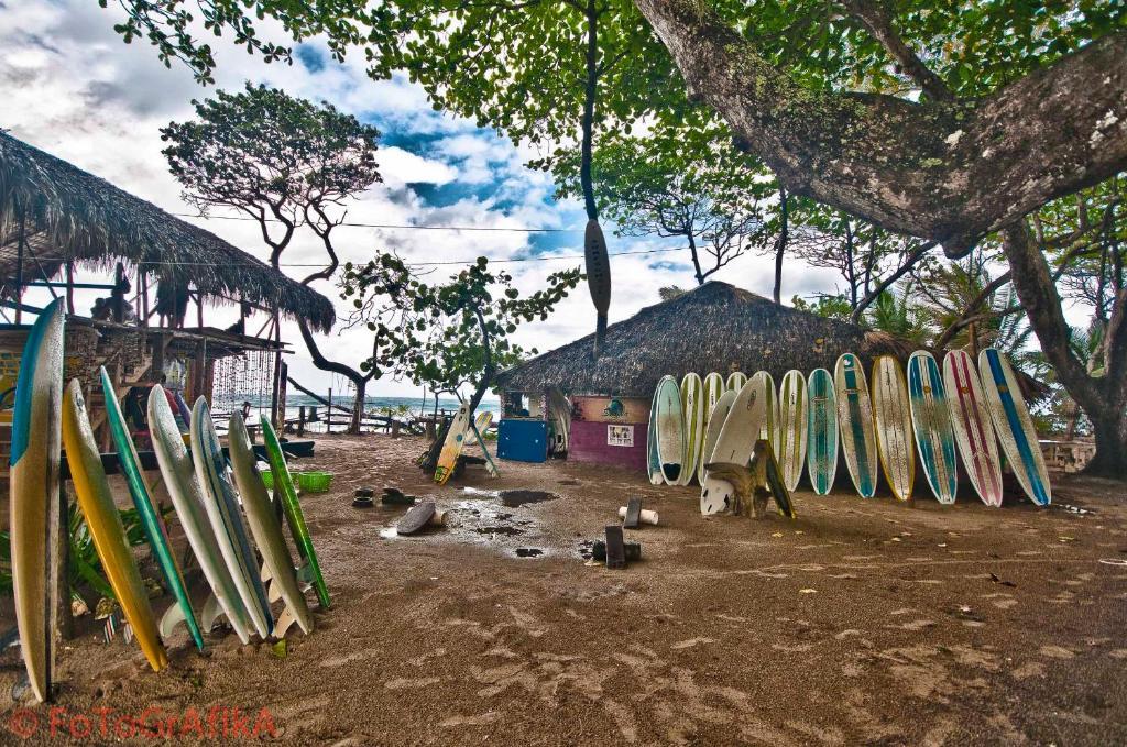 Cabarete Surf Camp Hotel Bagian luar foto