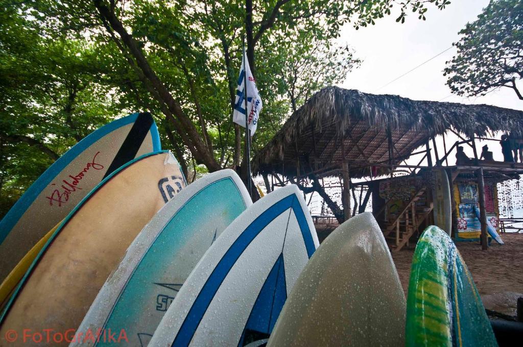 Cabarete Surf Camp Hotel Bagian luar foto