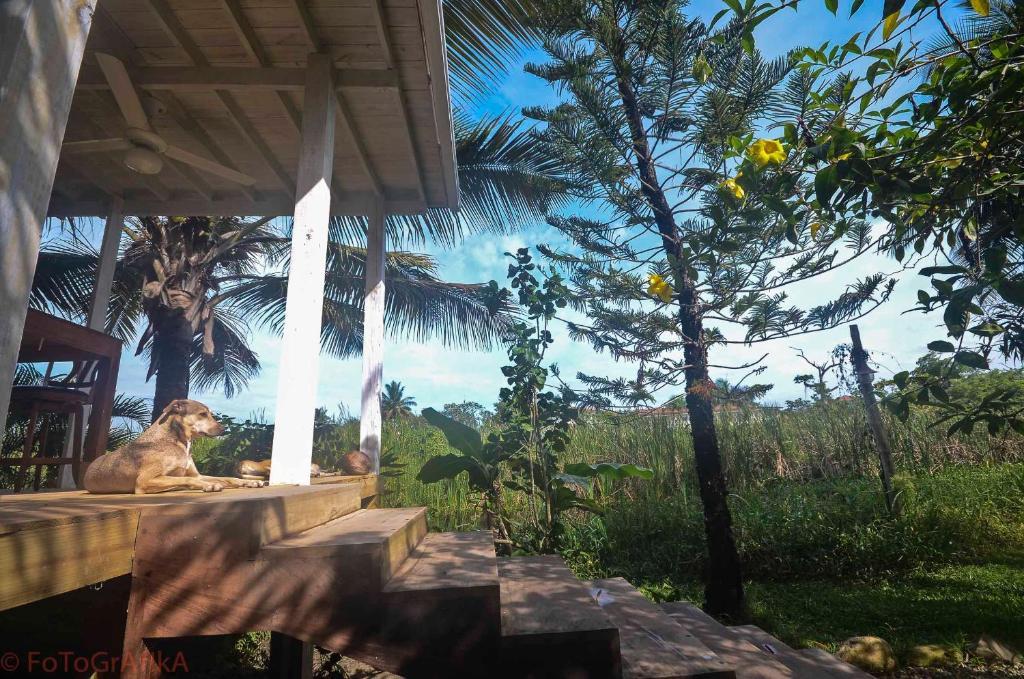 Cabarete Surf Camp Hotel Bagian luar foto