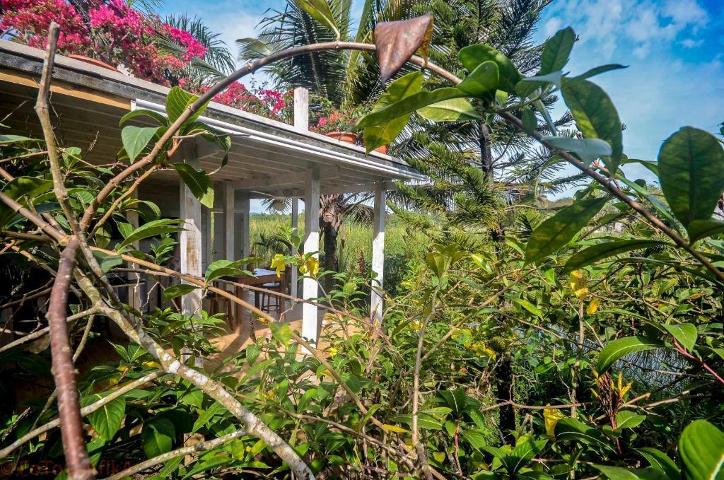 Cabarete Surf Camp Hotel Bagian luar foto