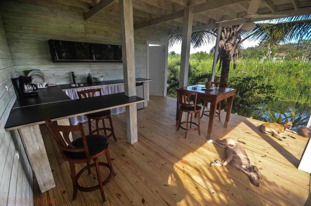 Cabarete Surf Camp Hotel Bagian luar foto