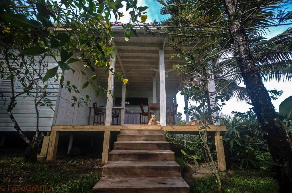 Cabarete Surf Camp Hotel Bagian luar foto
