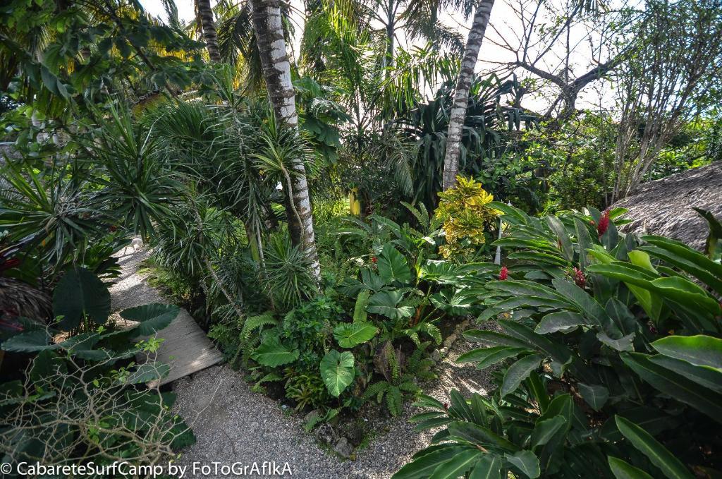 Cabarete Surf Camp Hotel Bagian luar foto
