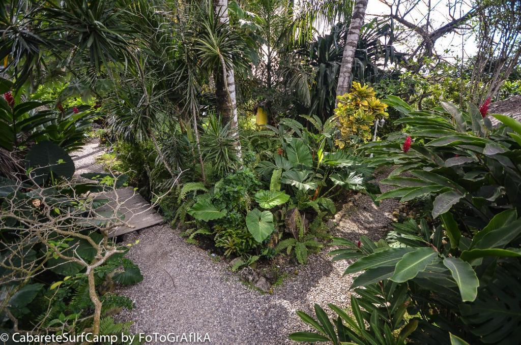 Cabarete Surf Camp Hotel Bagian luar foto