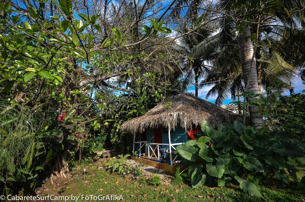 Cabarete Surf Camp Hotel Bagian luar foto