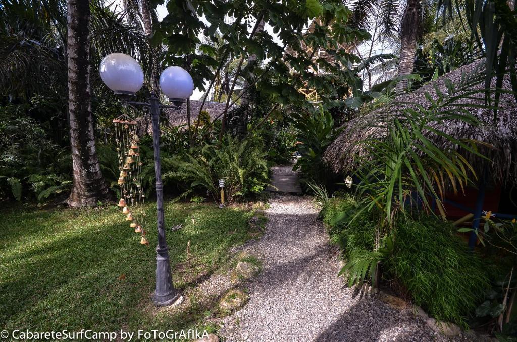 Cabarete Surf Camp Hotel Bagian luar foto