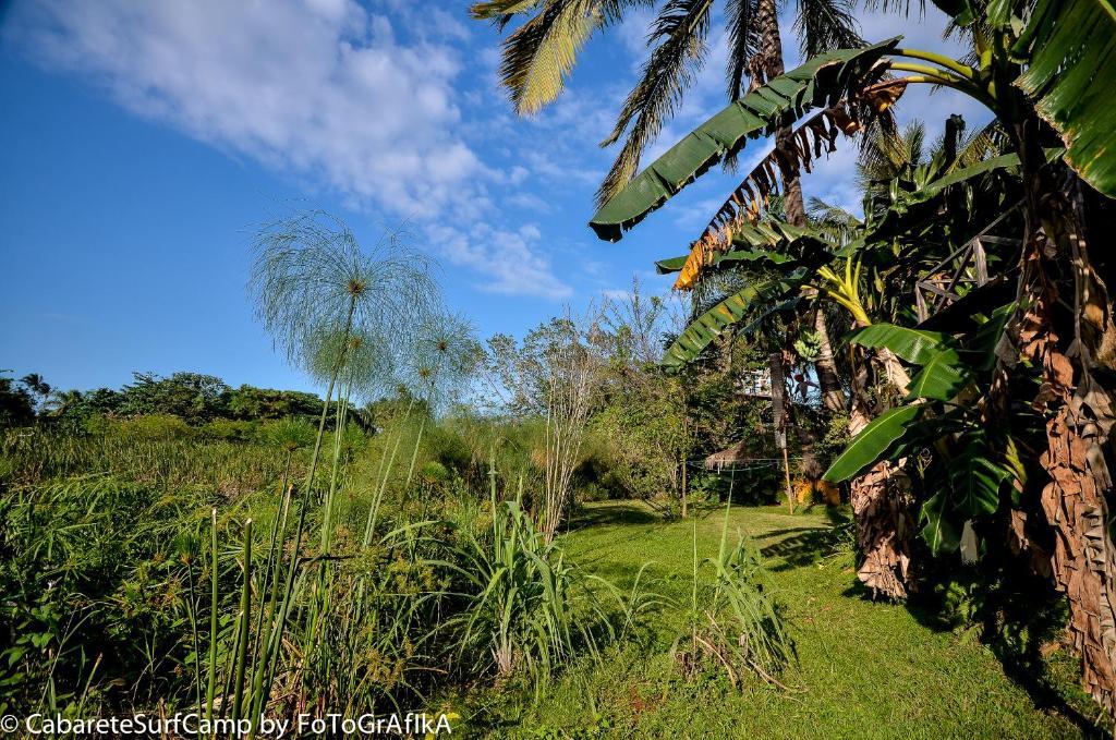Cabarete Surf Camp Hotel Bagian luar foto