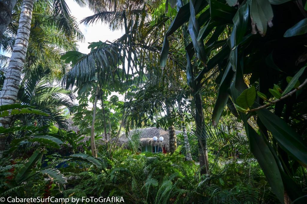 Cabarete Surf Camp Hotel Bagian luar foto
