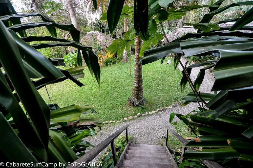 Cabarete Surf Camp Hotel Bagian luar foto