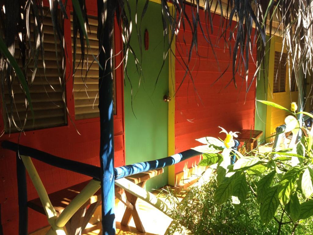 Cabarete Surf Camp Hotel Bagian luar foto