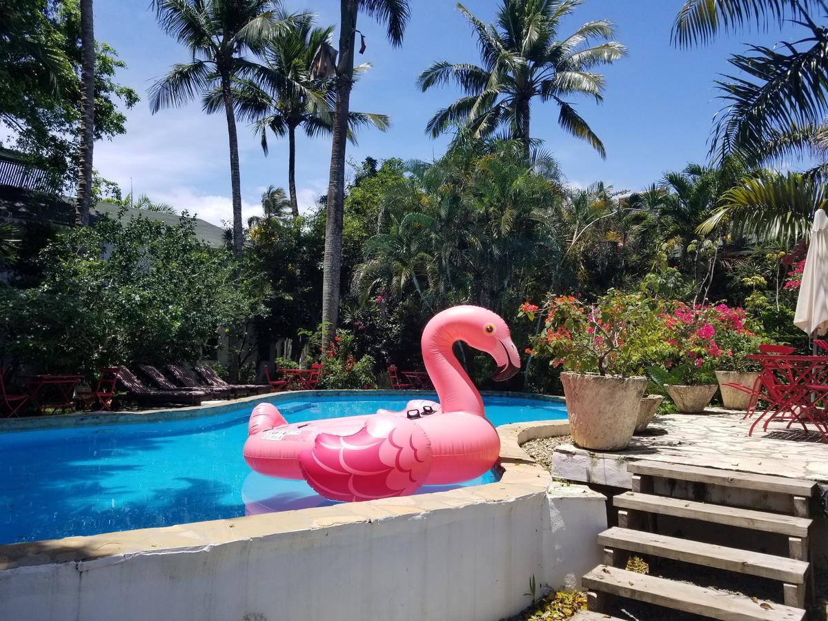 Cabarete Surf Camp Hotel Bagian luar foto