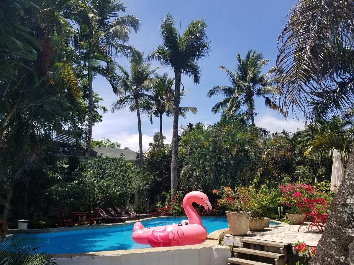 Cabarete Surf Camp Hotel Bagian luar foto