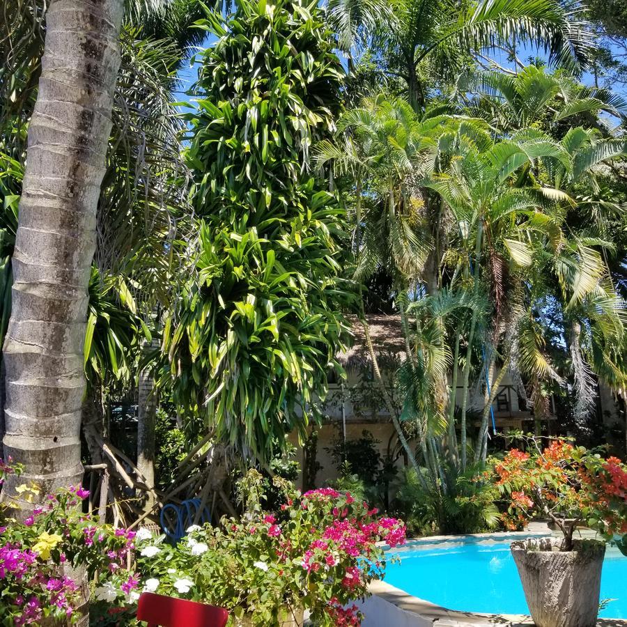 Cabarete Surf Camp Hotel Bagian luar foto