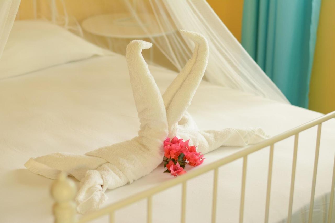 Cabarete Surf Camp Hotel Bagian luar foto